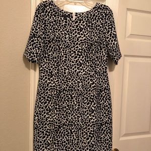 Talbots animal print shift dress
